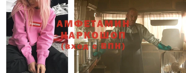 стаф Новодвинск