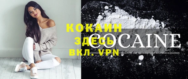 стаф Новодвинск