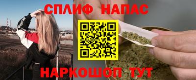 спиды Бийск