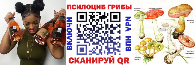 omg как войти  Каспийск  Псилоцибиновые грибы Cubensis 