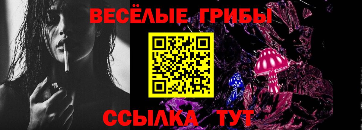 Псилоцибиновые грибы MAGIC MUSHROOMS  Каспийск  цена   Галлюциногенные грибы GOLDEN TEACHER 